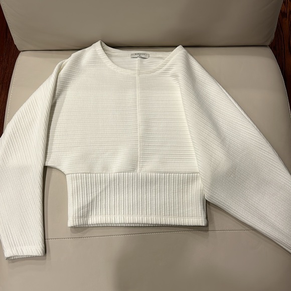 Aritzia Babaton Hal top dolman sleeves - Picture 3 of 6